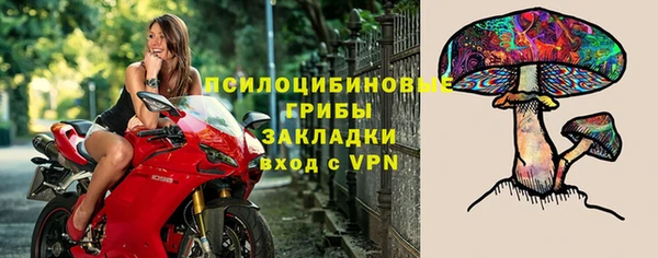 прущие грибы Абдулино