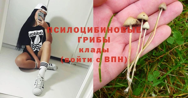 гидропоника Абинск